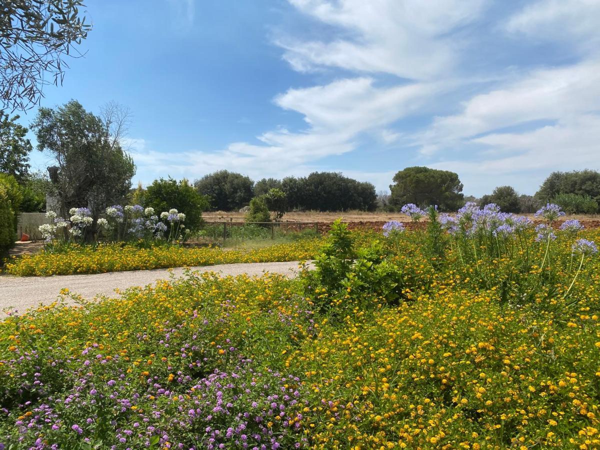 Casa Anna, Agriturismo Alla Castellana 加利波利 外观 照片