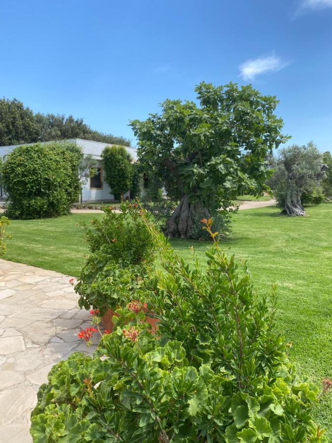 Casa Anna, Agriturismo Alla Castellana 加利波利 外观 照片