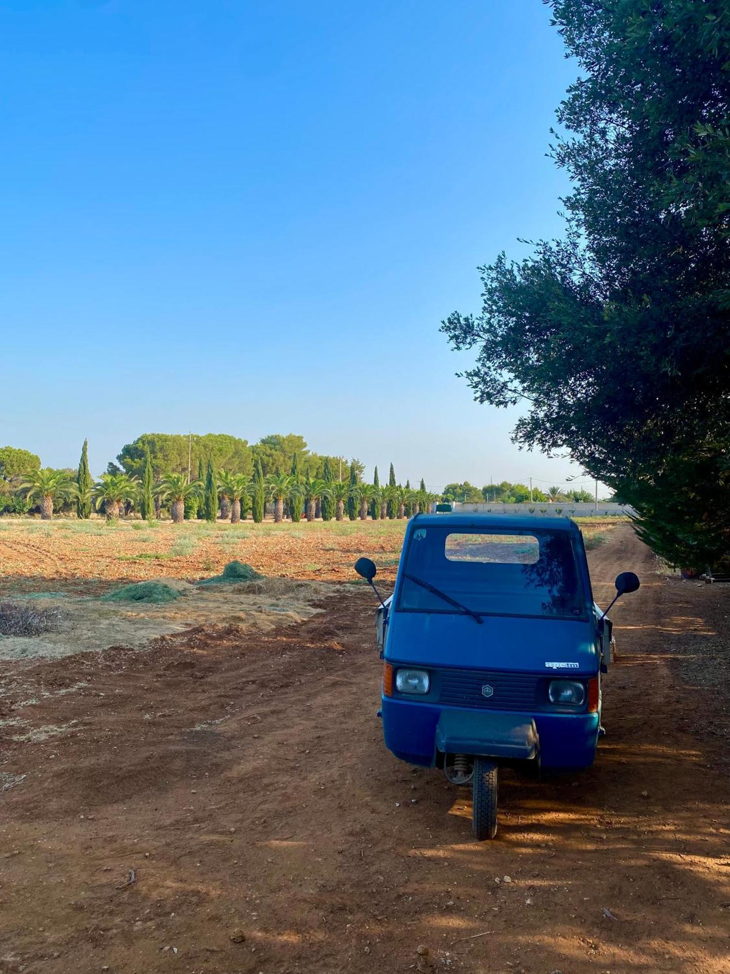 Casa Anna, Agriturismo Alla Castellana 加利波利 外观 照片