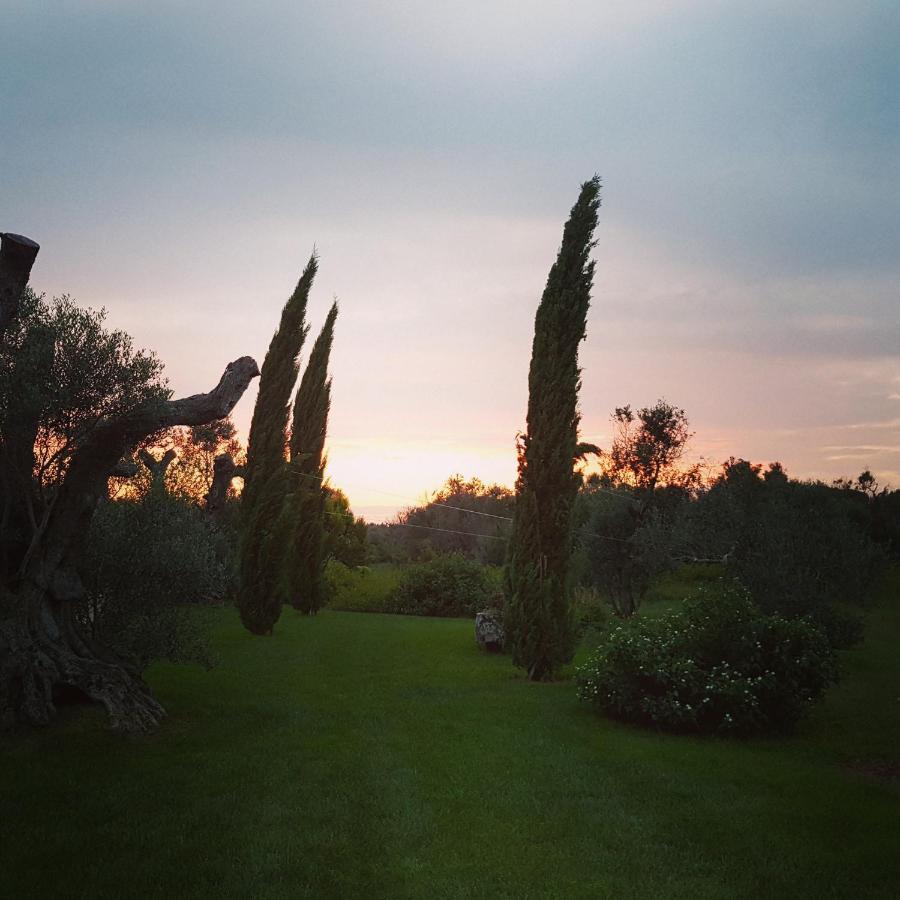 Casa Anna, Agriturismo Alla Castellana 加利波利 外观 照片